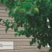 Сайдинг Ю-Пласт TIMBERBLOCK Пихта (Тимберблок) Cахалинская купить в Иваново